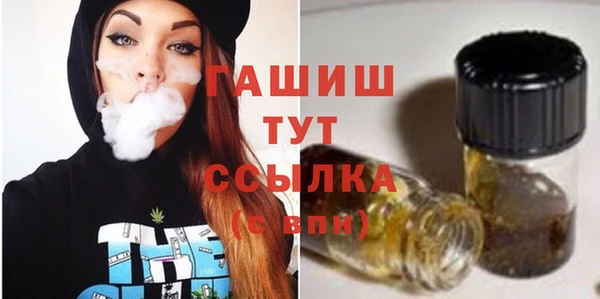 гидра Алексеевка