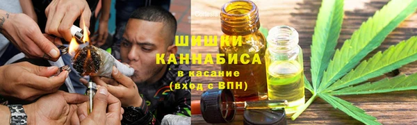 гидра Алексеевка