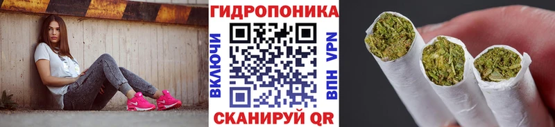 купить наркоту Тверь мега tor Бошки Шишки Ganja